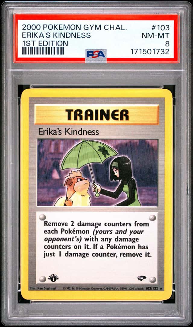 Erika's Kindness