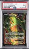 Rayquaza Ex