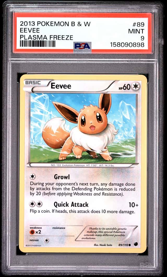 Eevee