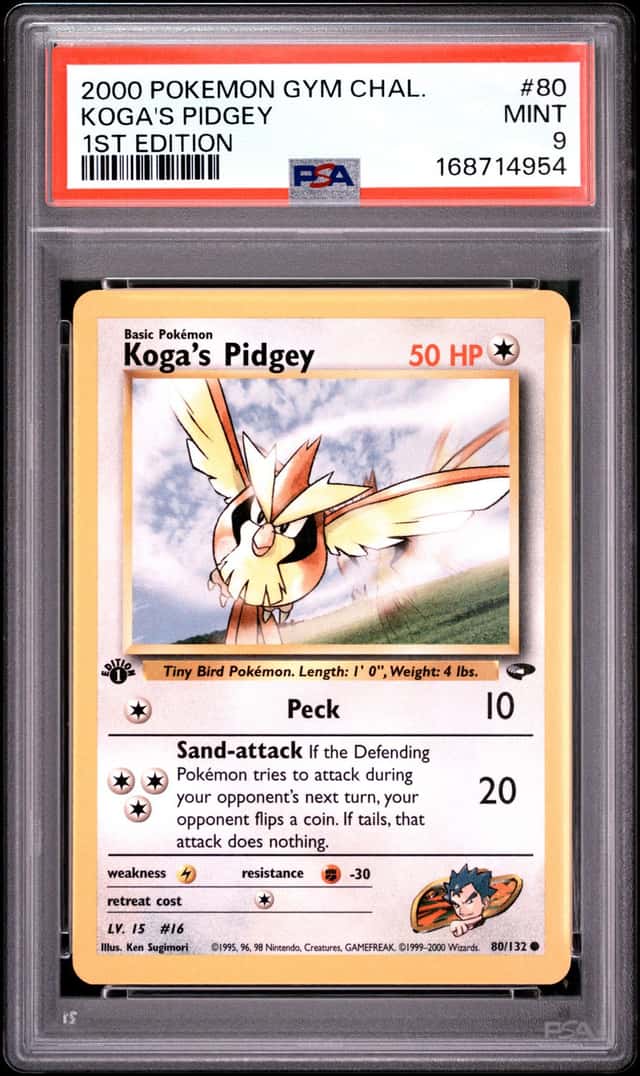 Koga's Pidgey