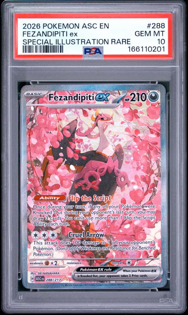 FEZANDIPITI ex