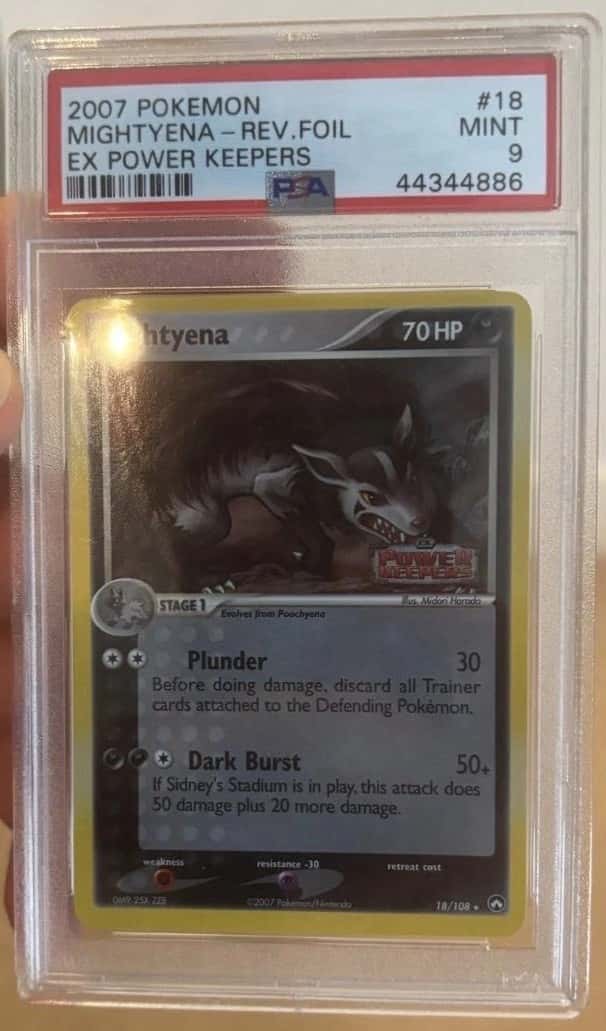 Mightyena