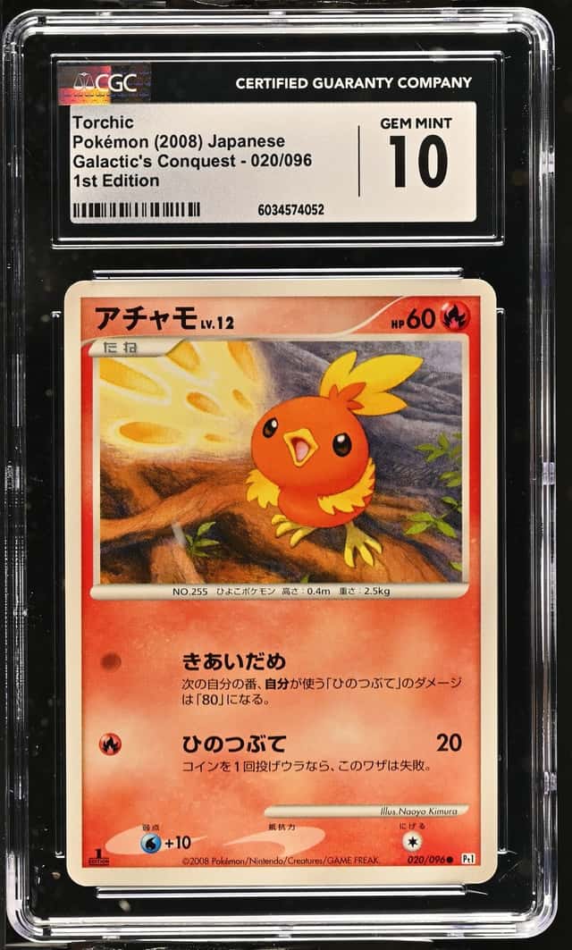 Torchic
