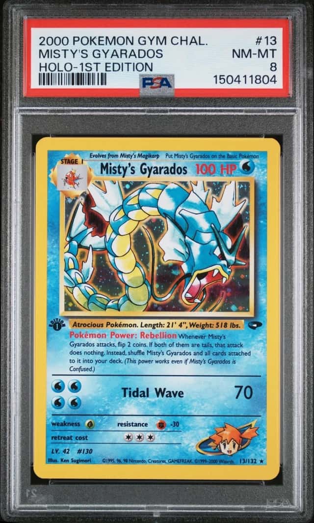 Misty's Gyarados