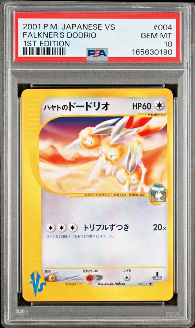 Falkner's Dodrio