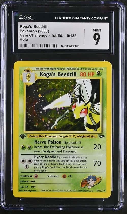 Koga's Beedrill