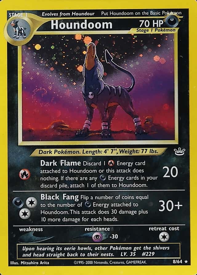 Holo