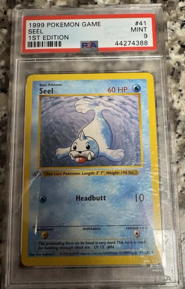 Seel