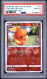 Torchic