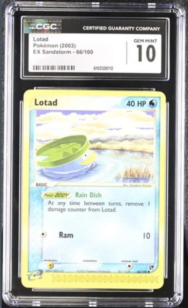 Lotad