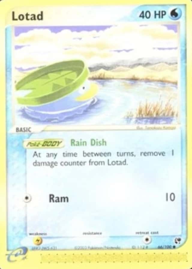 Base / no variant