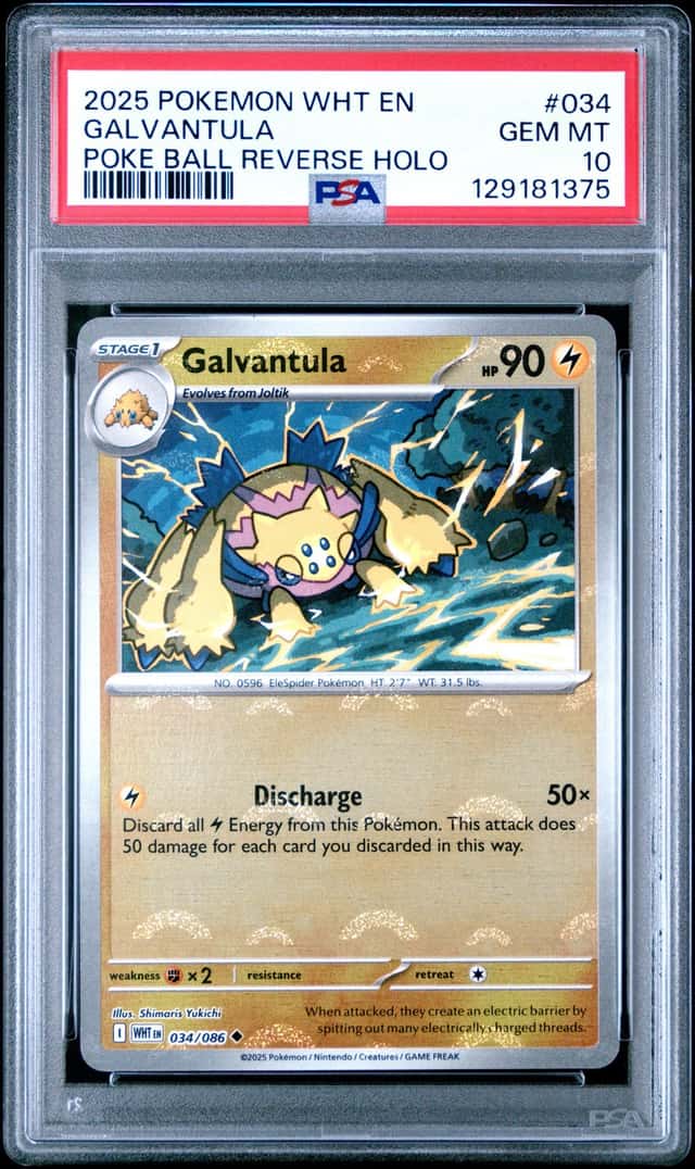 Galvantula