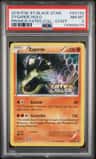 Zygarde