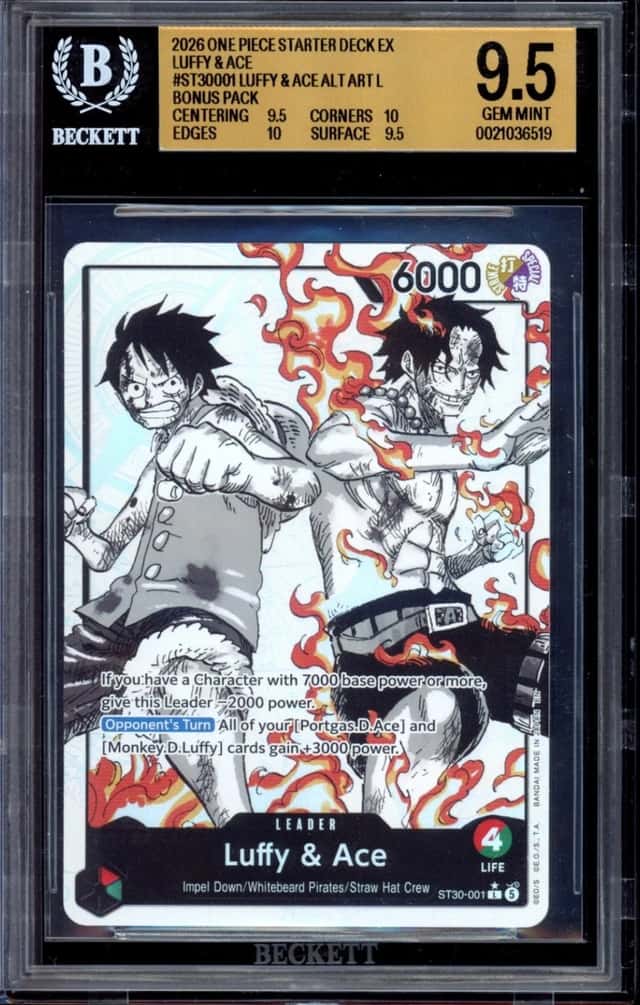 Luffy & Ace