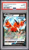 Dodrio V