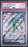 Garbodor Vmax