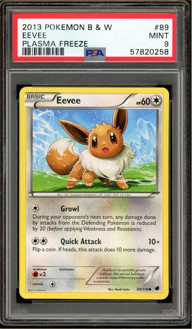 Eevee