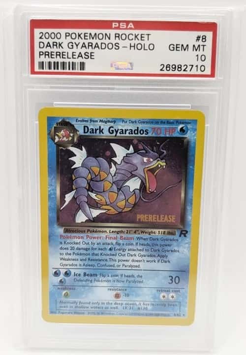 Dark Gyarados