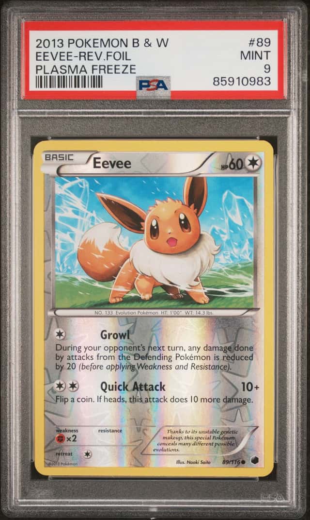 Eevee