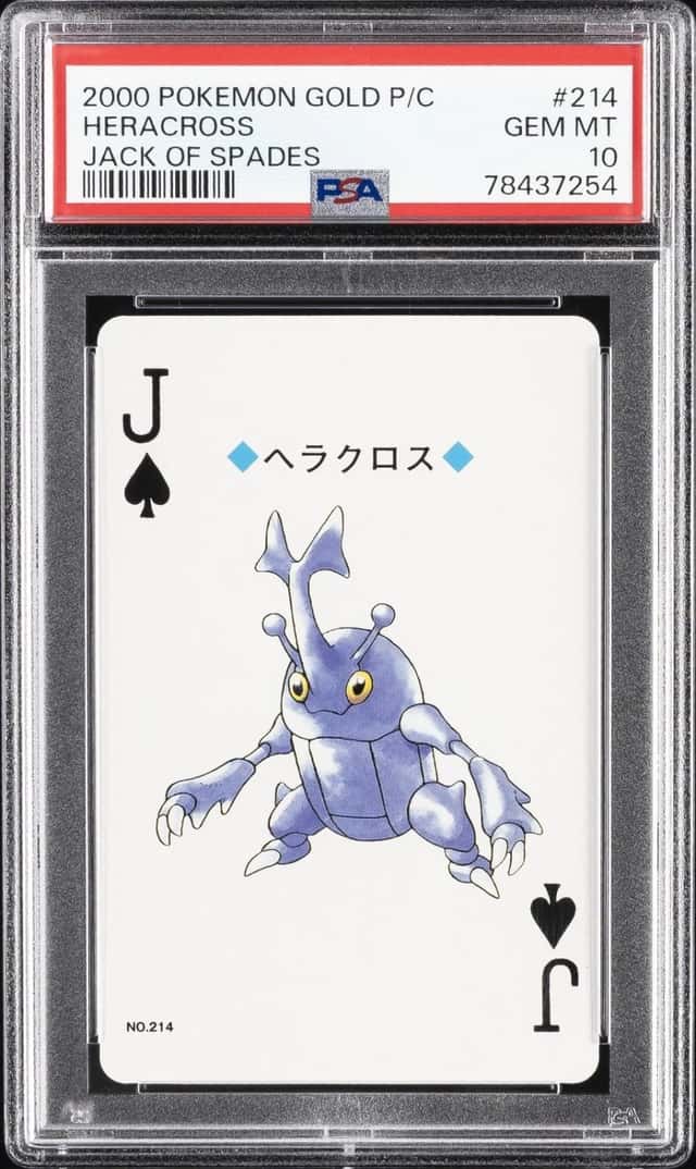 Heracross