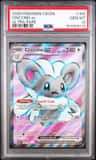 Cinccino Ex