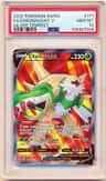Chesnaught V