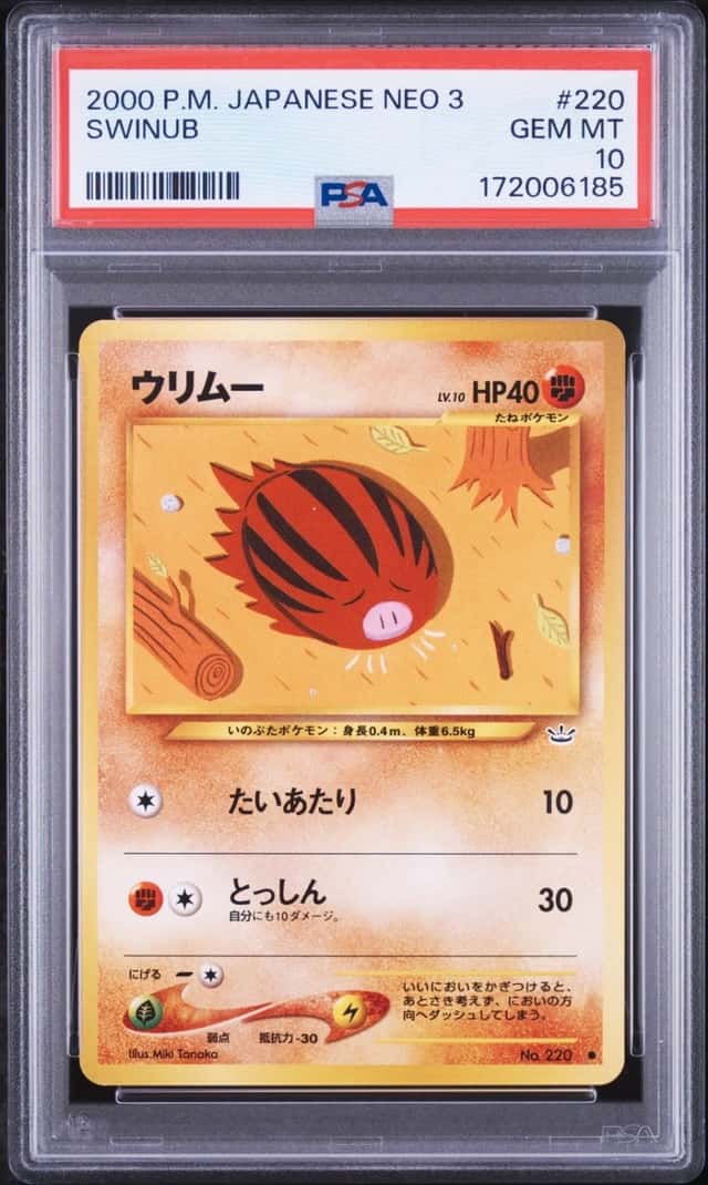 Swinub