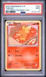 Torchic