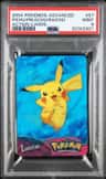 Pichu/pikachu/raichu