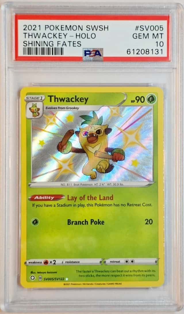 Thwackey