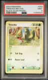 Treecko