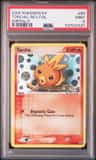 Torchic