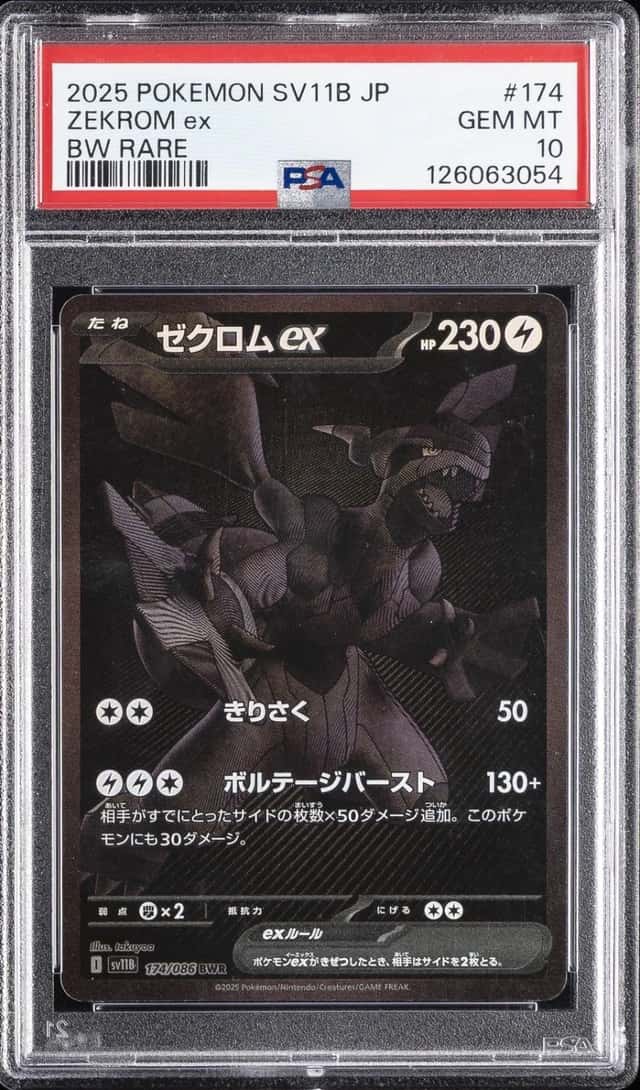 ZEKROM ex