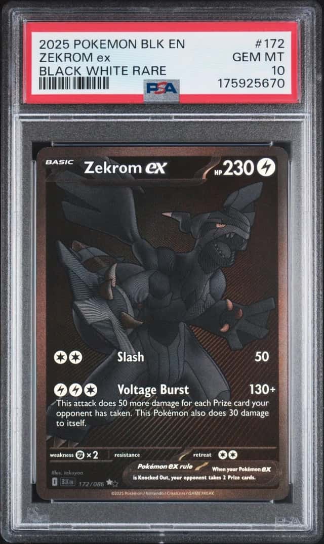ZEKROM ex