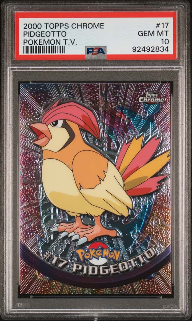 Pidgeotto