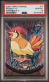 Pidgeotto