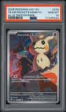 Team Rocket'S Mimikyu
