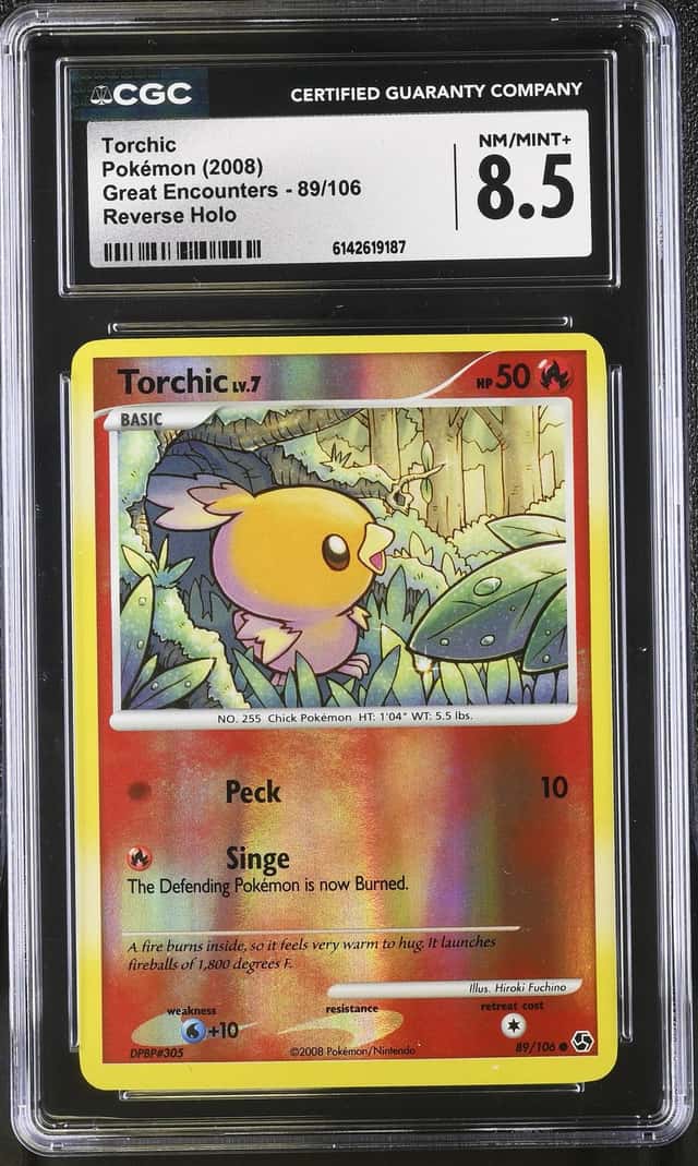 Torchic