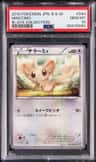 Minccino