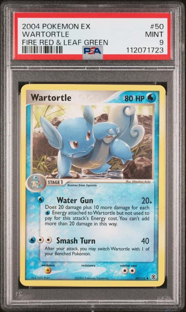 Wartortle