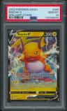 Raichu V