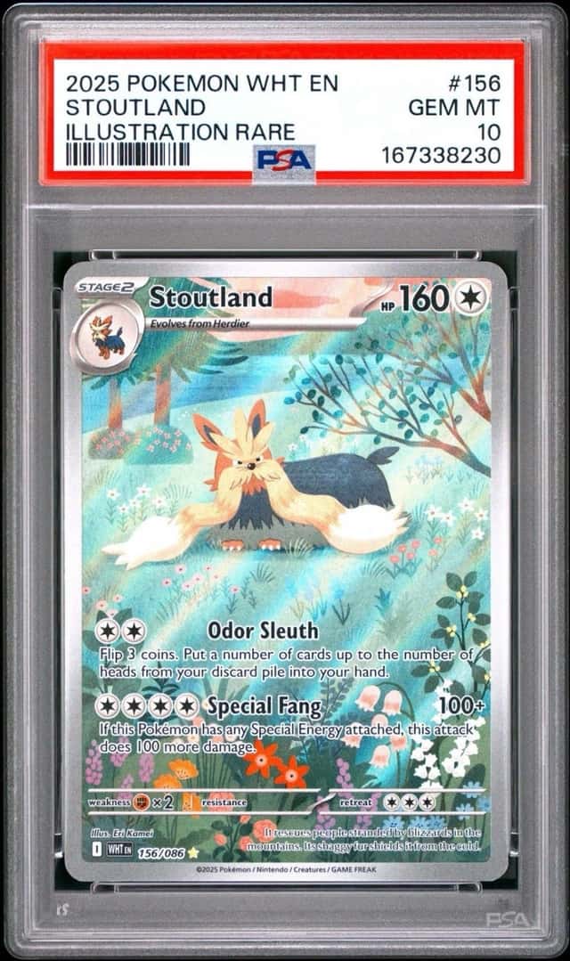 Stoutland