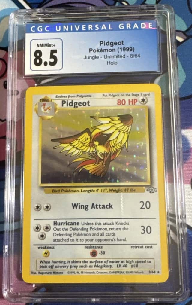 Pidgeot