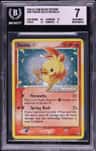 Torchic