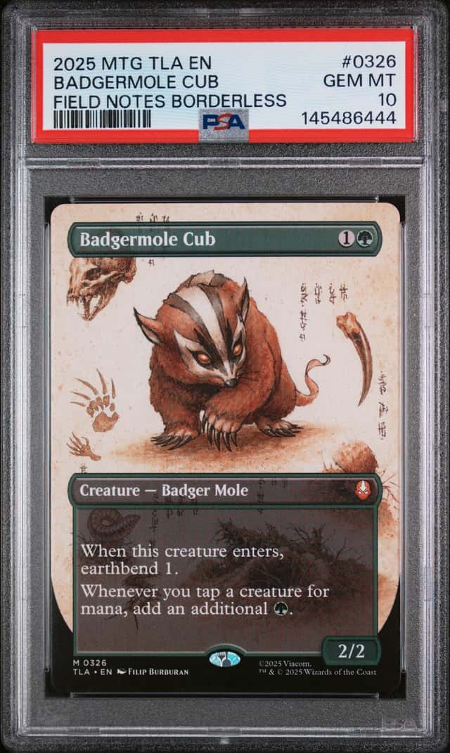 Badgermole Cub