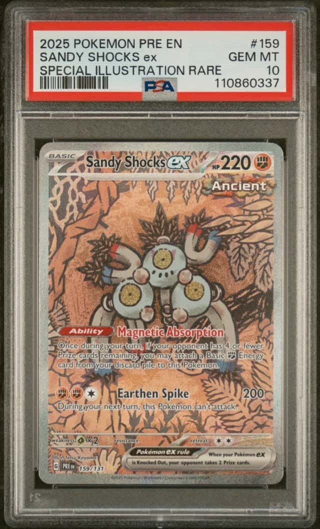 SANDY SHOCKS ex