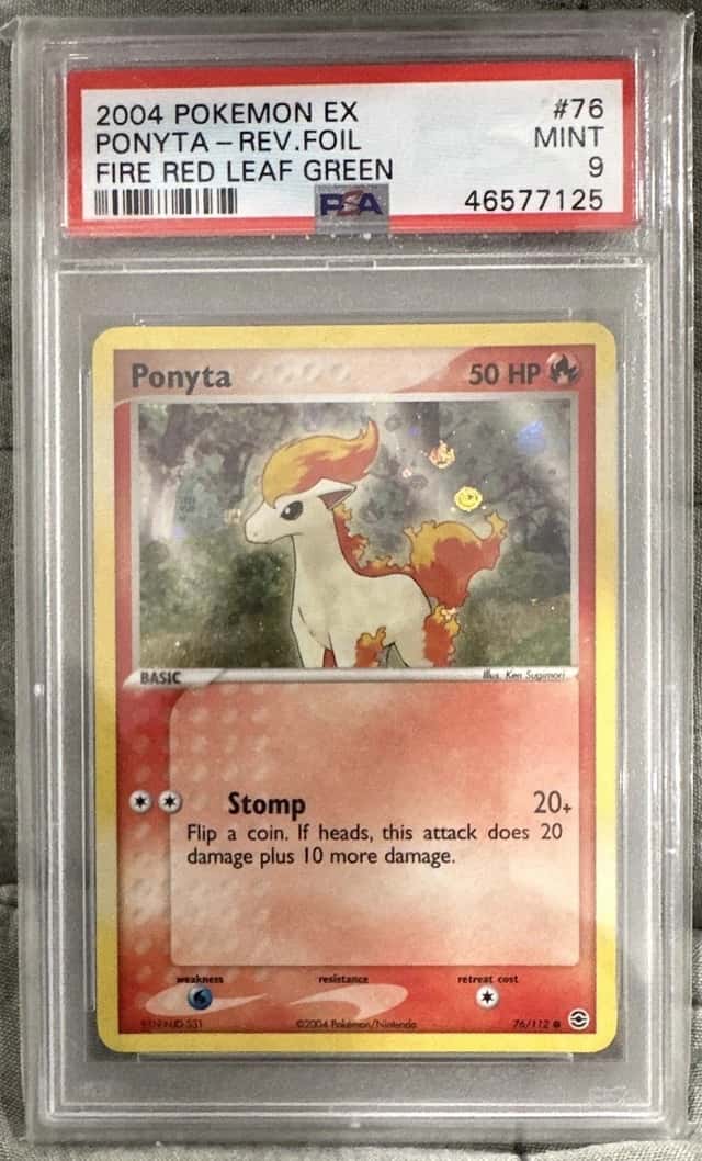 Ponyta