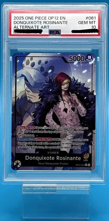 Donquixote Rosinante