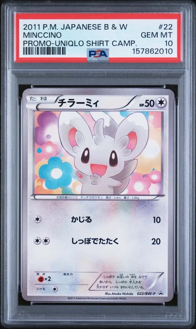 Minccino