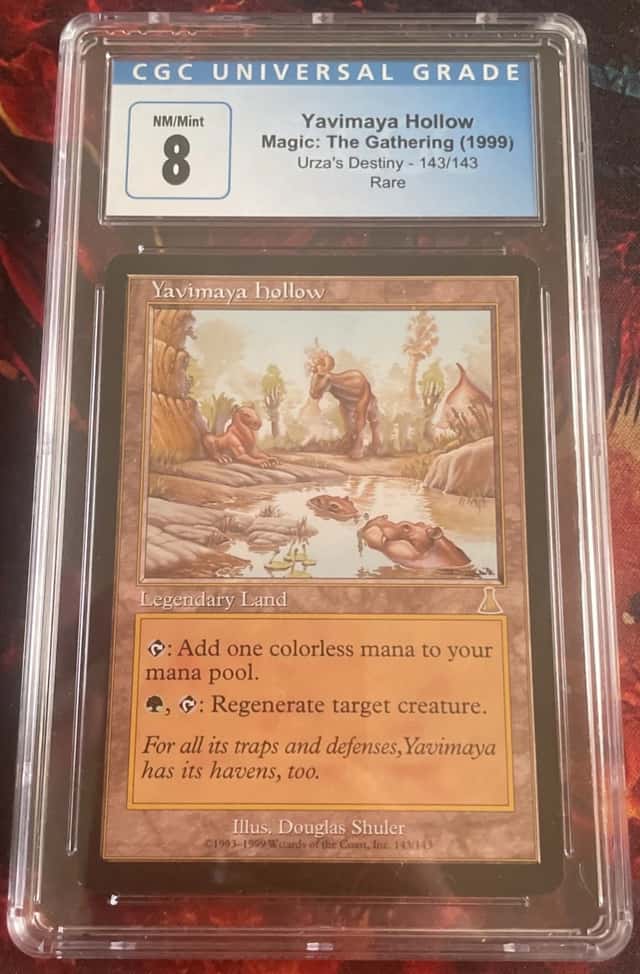 Yavimaya Hollow